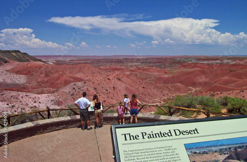 painted desert photo