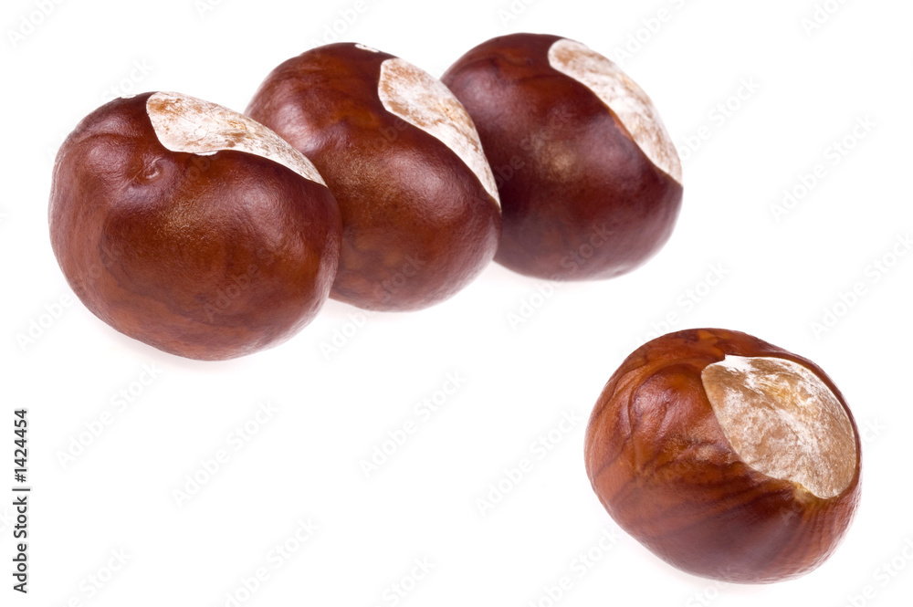 chestnuts. 3 + 1 chestnuts. 3 + 1