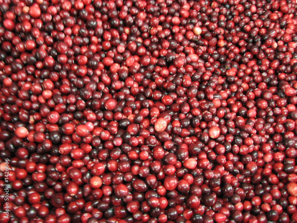 cranberries cranberries