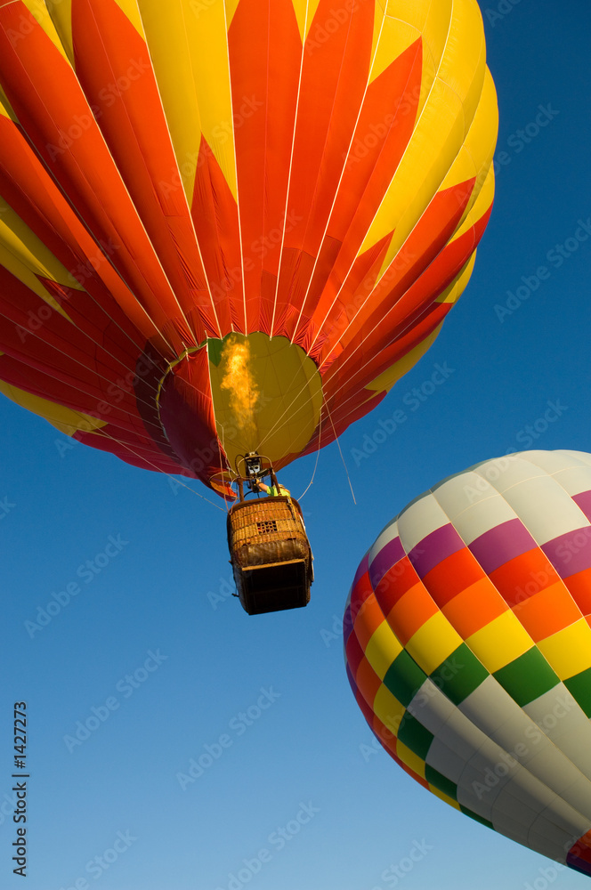 Fototapeta premium hot air balloons