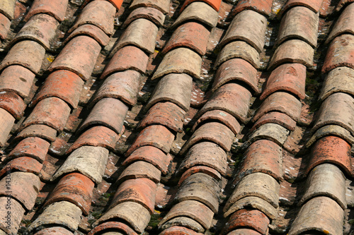 traditional roof cover © Xavier MARCHANT
