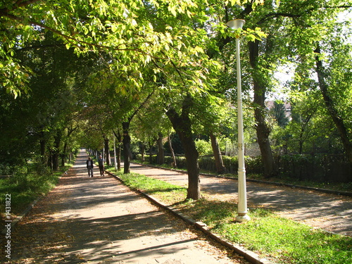 park