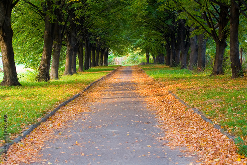 alley in the park