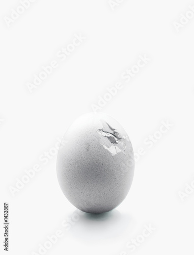 white open egg