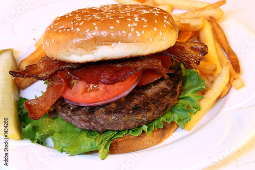 hamburger with pickle on side photo