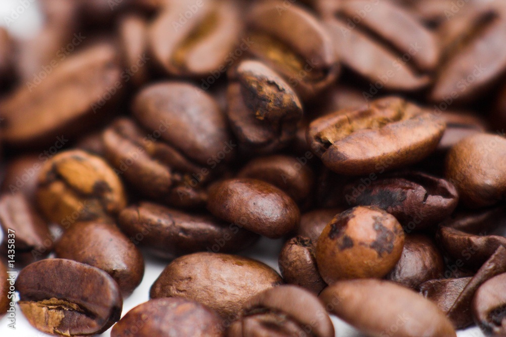 Naklejka premium kaffeebohnen nah