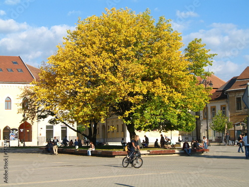 peoples walking