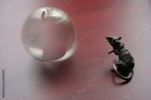 taboo series. the bewitched rat 1 photo