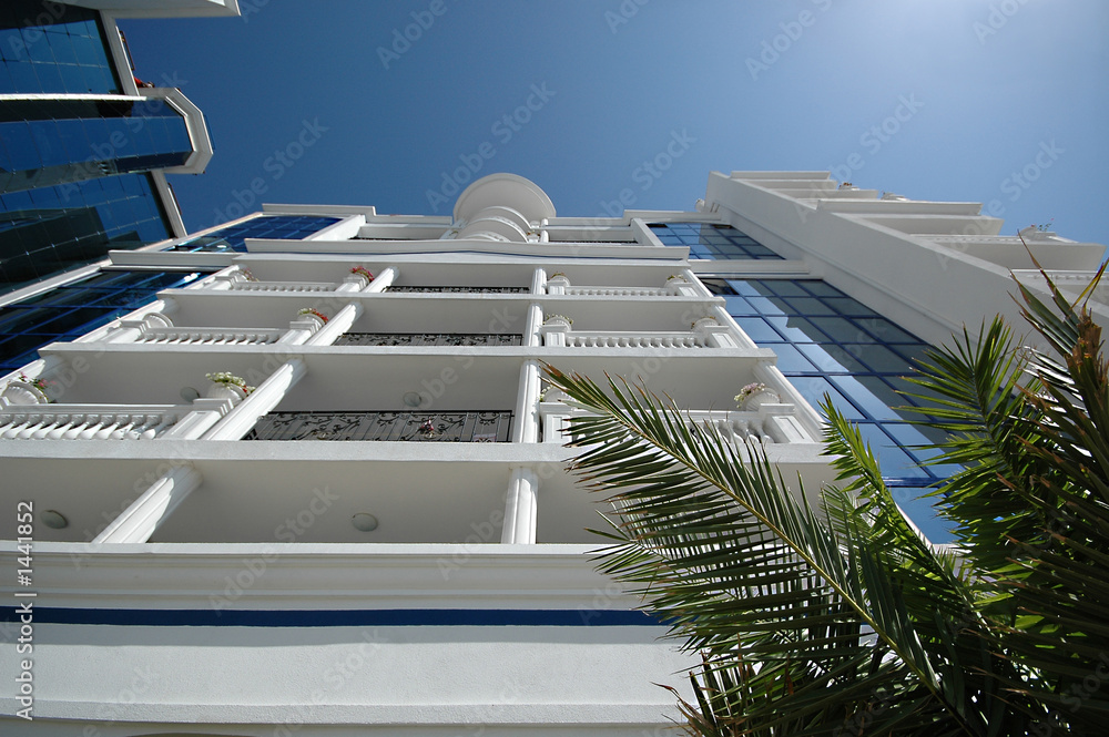 Obraz premium hotel and palms