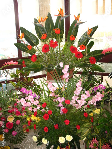flowers