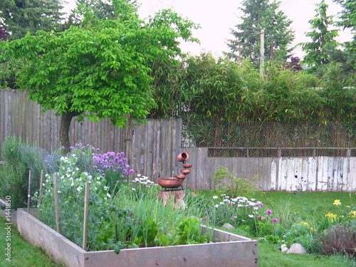 backyard garden