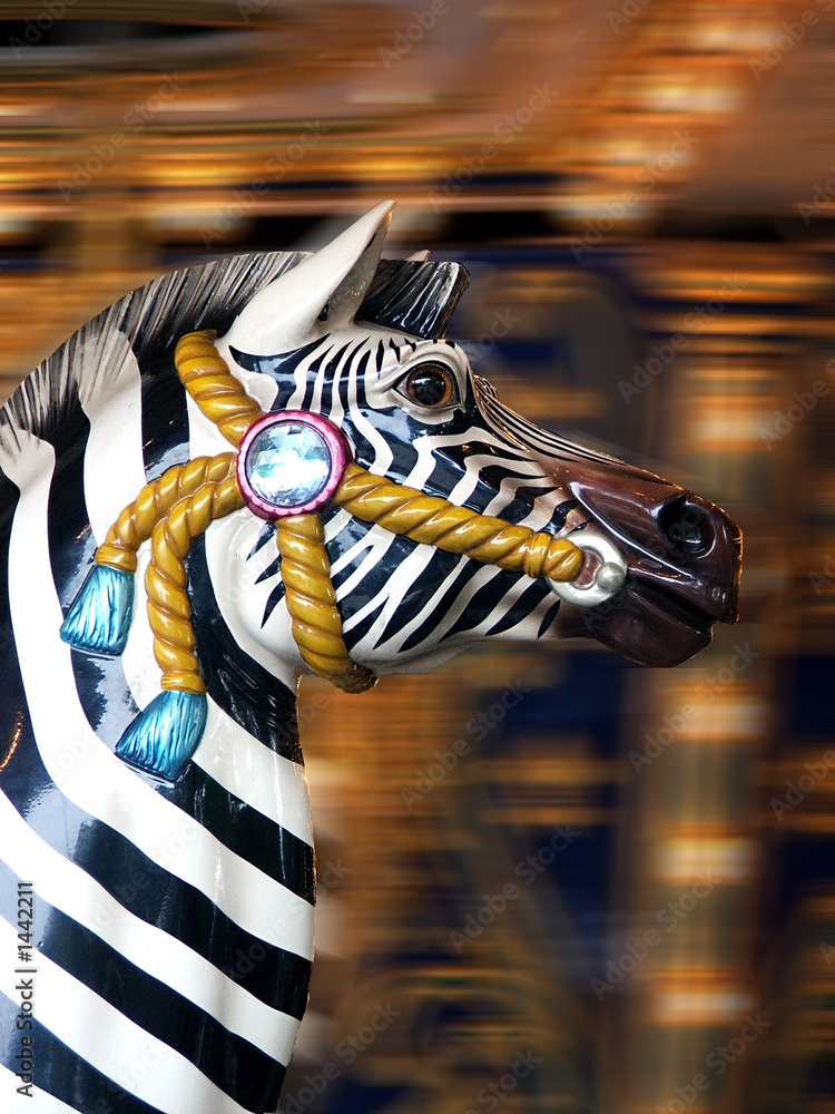 Fototapeta carousel zebra