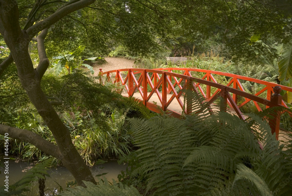 england dorset abbotsbury subtropical gardens england dorset abbotsbury subtropical gardens
