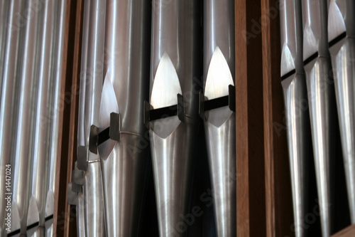 organ