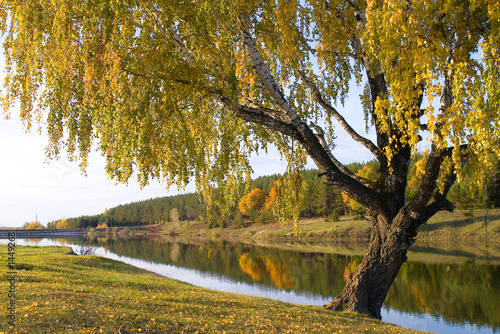 autumn