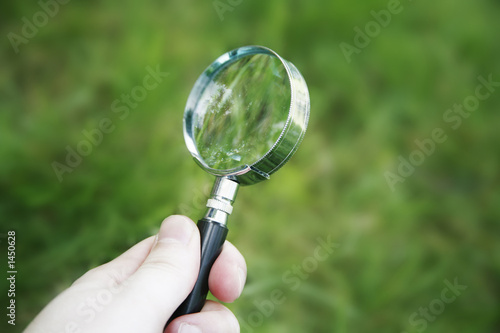 grass