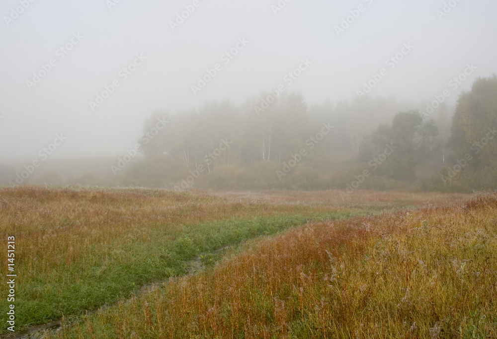 autumn landscape