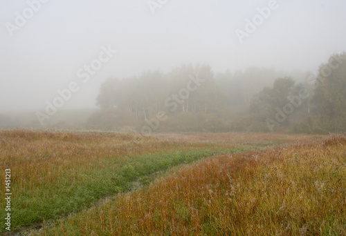 autumn landscape