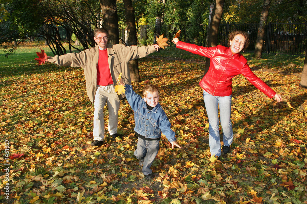 © Pavel Losevsky - fly family in autumn park