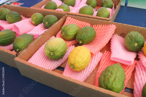 jewish citrons display