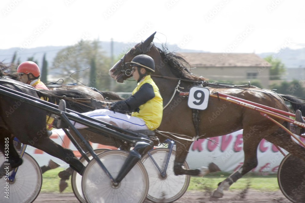 course de chevaux