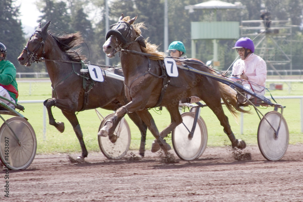 course de chevaux