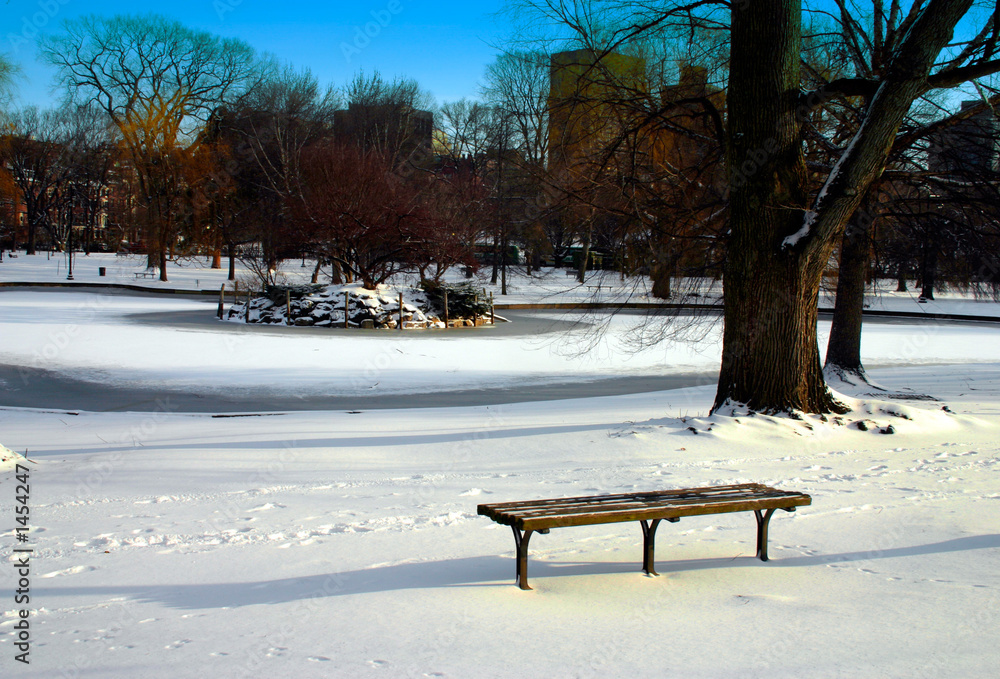 boston public garden winter