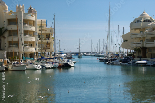 puerto marina