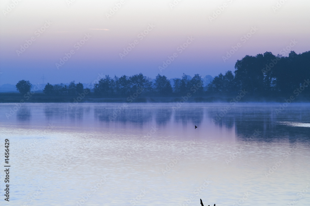 Naklejka premium morning misty