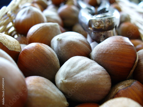 hazelnuts photo