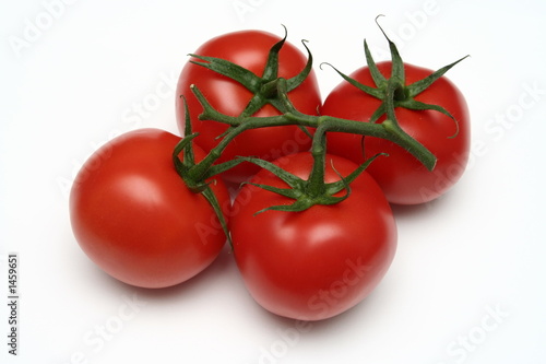 ripe tomatos, white background