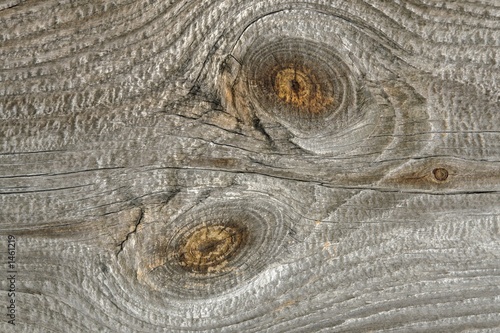 holz