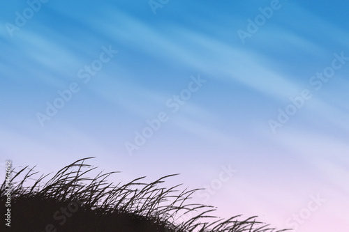 grass and sky