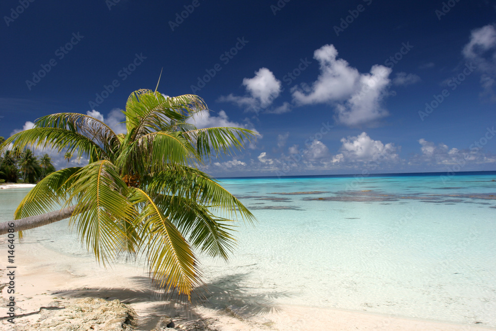 Obraz premium atoll
