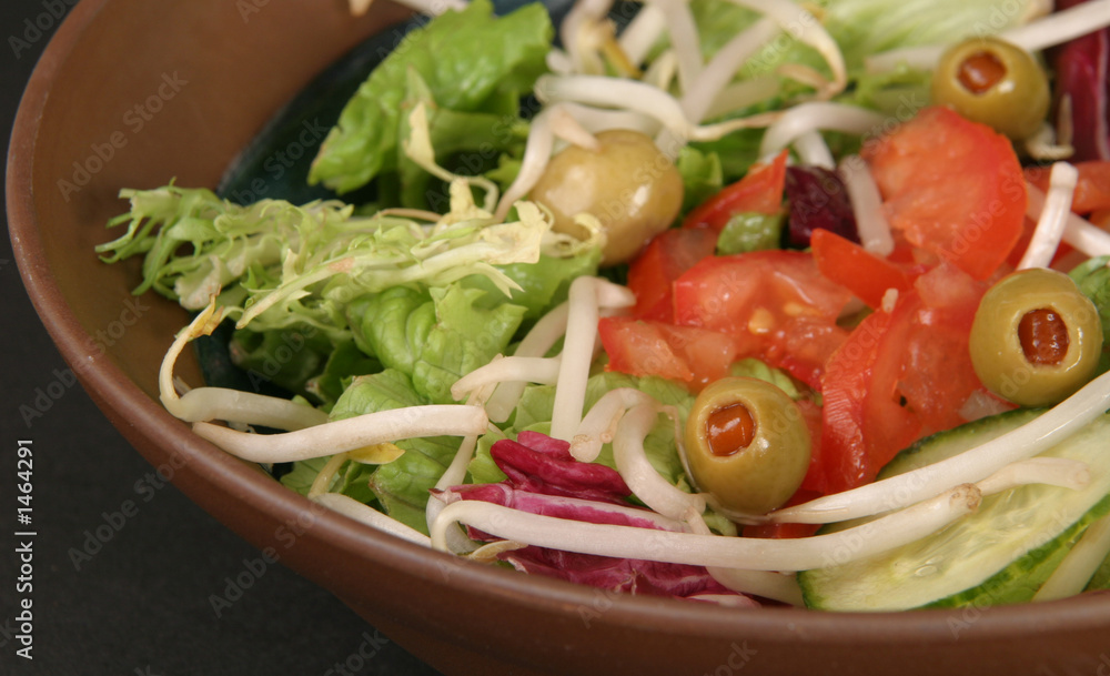 salad with chopped tomatoes