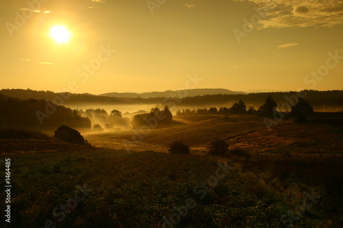 Wallpaper Mural sunshine Torontodigital.ca