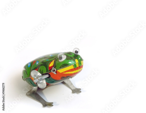 mechanical frog 2