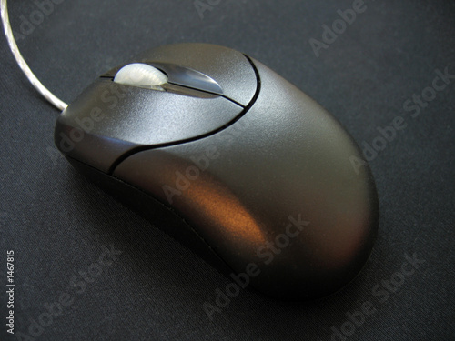 black mouse