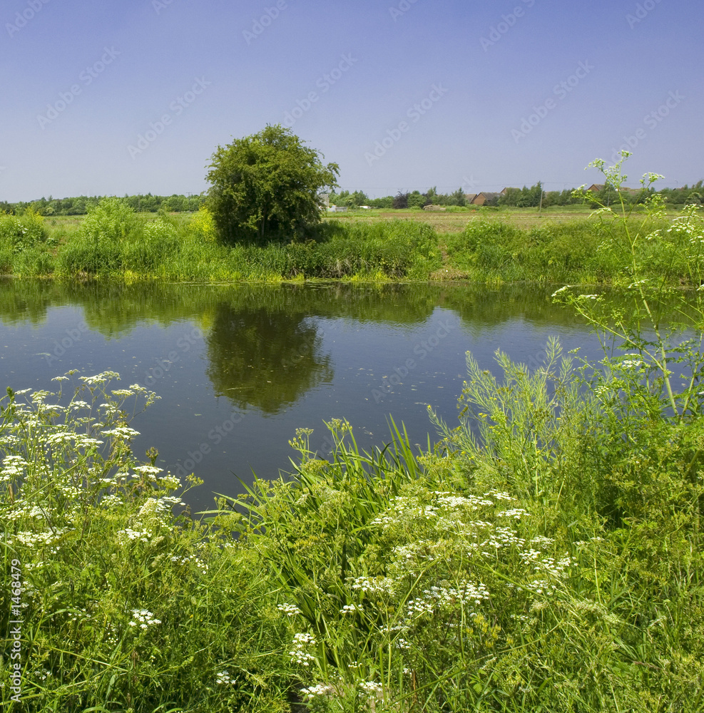 Fototapeta premium river avon stratford upon avon