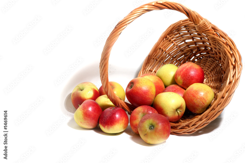 cornucopia cornucopia
