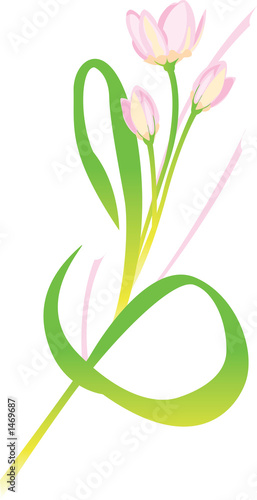 flower illustration