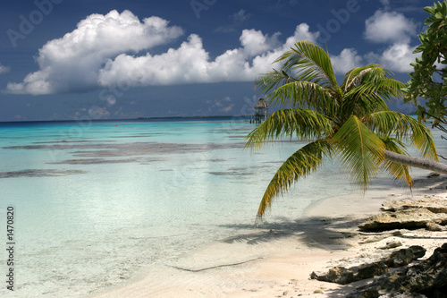 paradise island