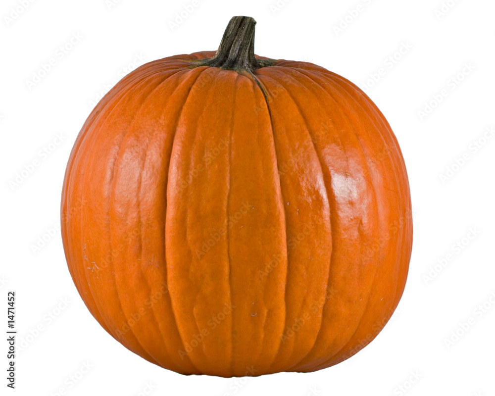 Obraz premium big pumpkin alpha