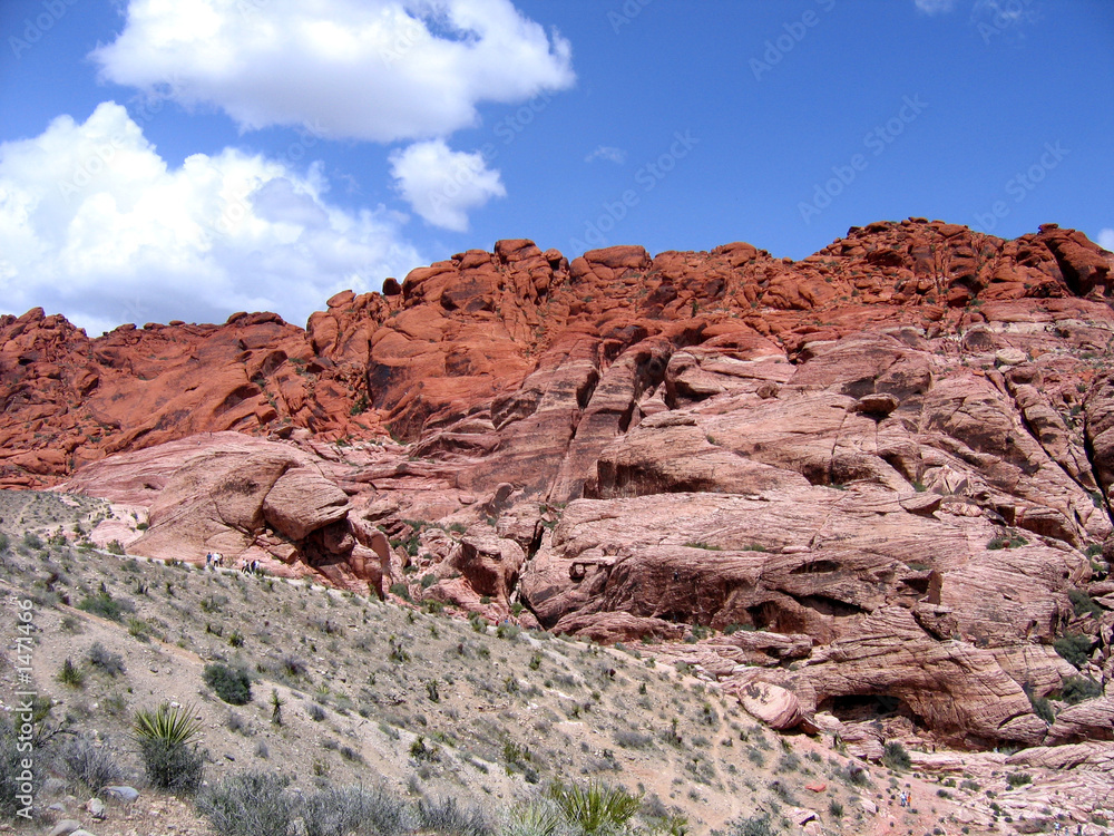 red rock canyon #5