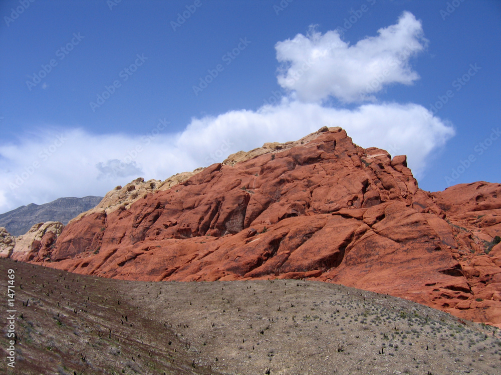 red rock canyon #7 red rock canyon #7
