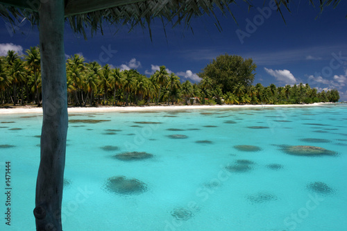 paradise island