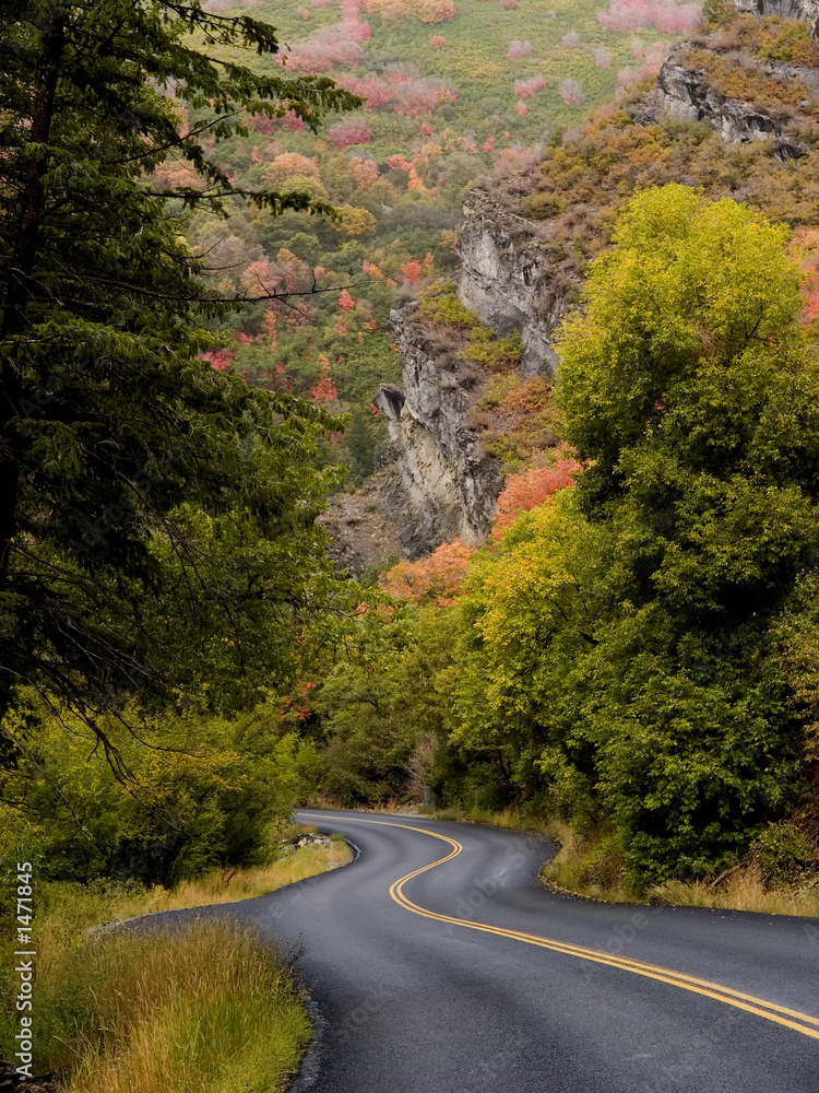 Fototapeta premium mountain road