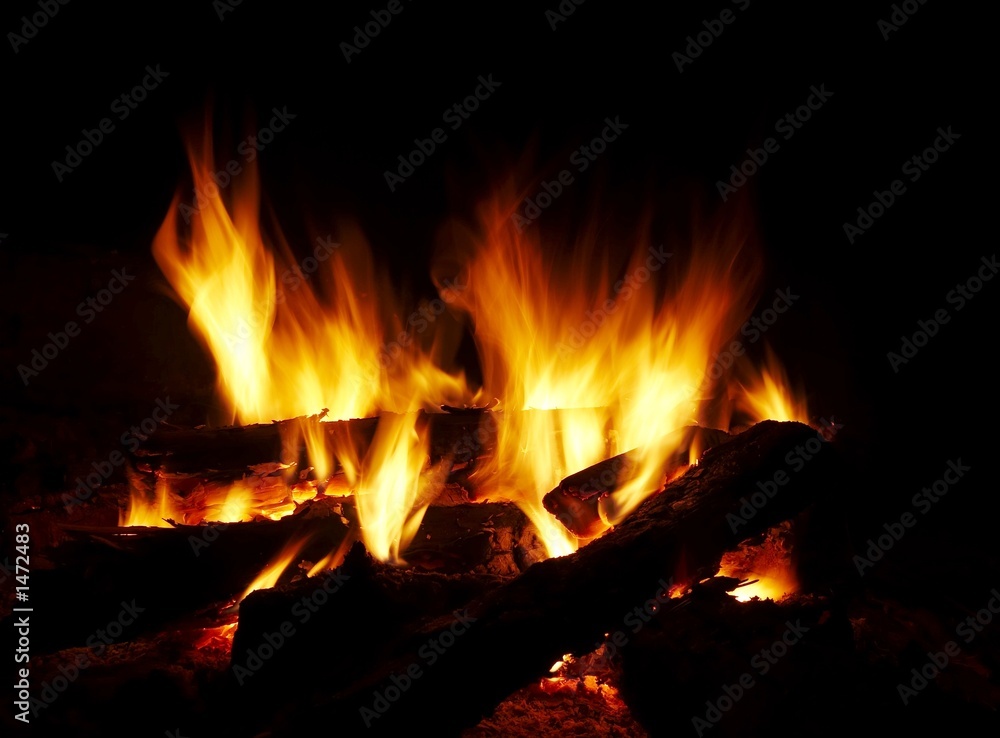 fire on the black background fire on the black background