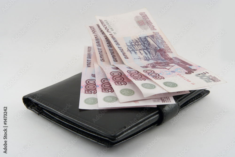 money in a purse on a white background money in a purse on a white background