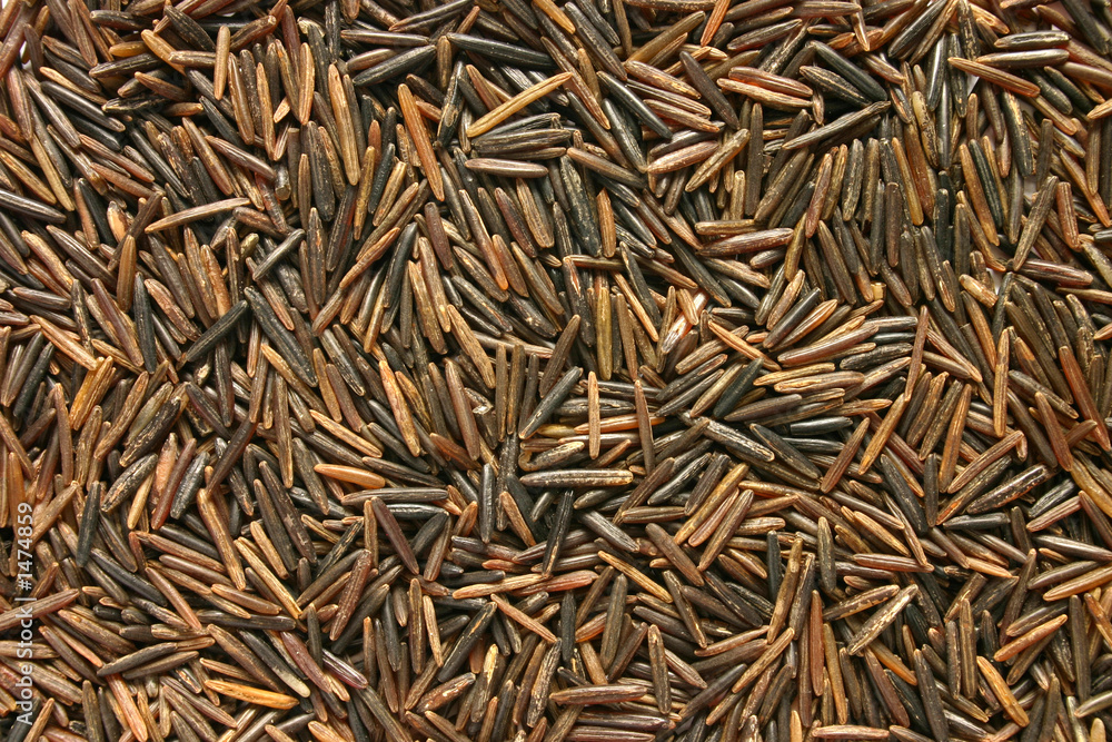 californian wild rice.  makes a good dark backgrou